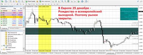 время работы форекс 008/07